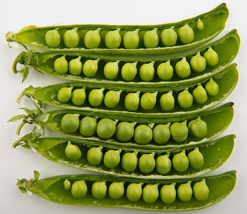Green peas (1 cup)